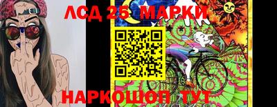 гидропоника Заводоуковск